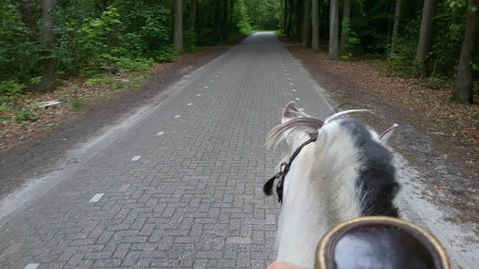 doelgericht1 onder eigen regie